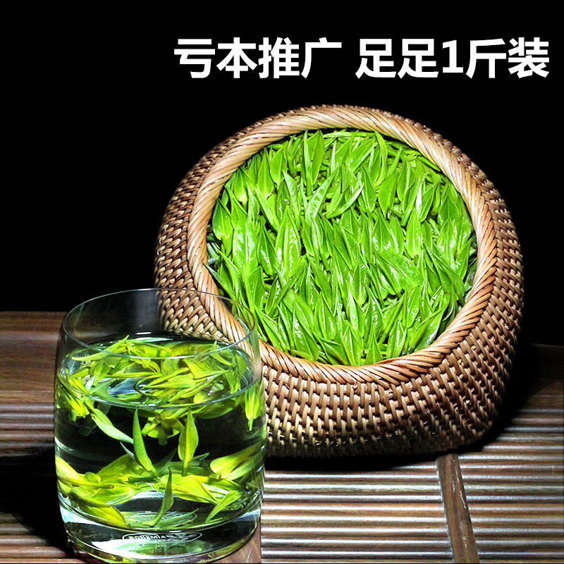 [一斤装]茶叶绿茶新茶高山云雾日照充足袋装散装浓香型毛尖茶