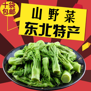 东北特产新鲜山 span class=h>野菜/span>山珍刺老芽蕨菜猴腿老山芹