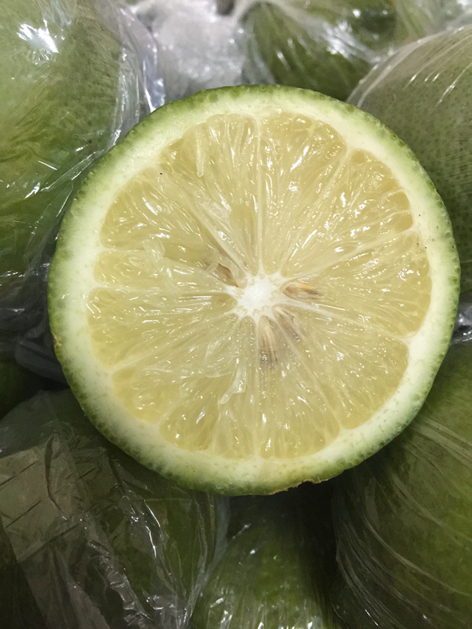 安岳新鲜柠檬青柠檬【全青】500克 五斤包邮 现摘现卖 有坏包赔