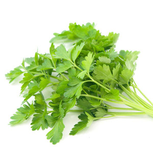 新鲜蔬菜小香菜调味菜半斤装限发北京地区