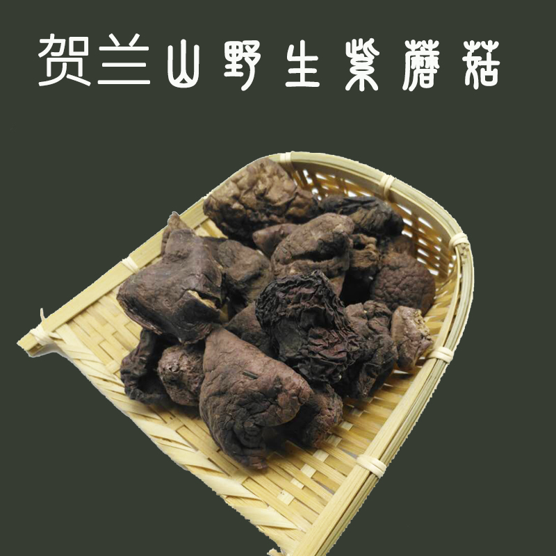 宁夏特产贺兰山野生紫蘑菇500克纯天然贺蘑干香菇食用菌山珍包邮