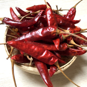 四川农家特产四川特辣干辣椒海椒朝天椒七星椒条子椒干货500g