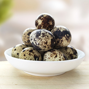 【生鹌鹑蛋图片】生鹌鹑蛋图片大全_好便宜网