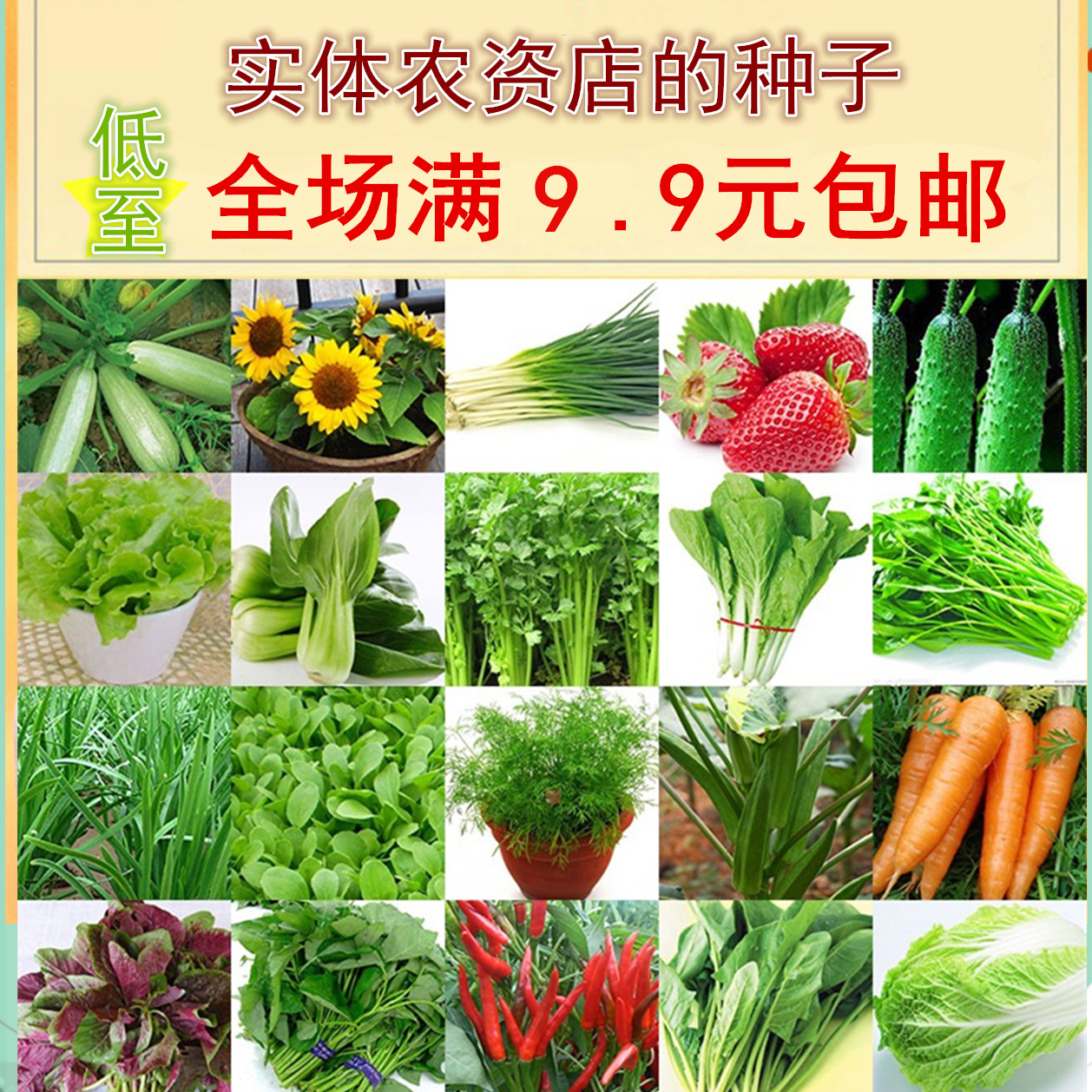 农家蔬菜种子包邮套餐四季播种春季水果易种庭院盆栽阳台种菜菜籽