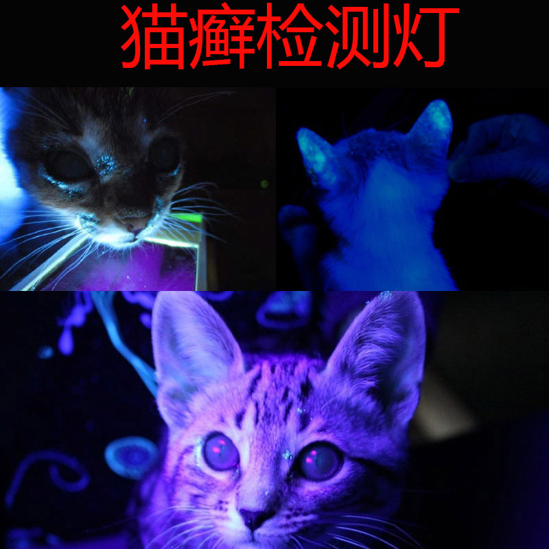 猫藓灯照猫尿狗癣真菌宠物医院紫外线UV黑光检测灯伍德式灯五德灯