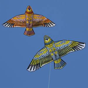 禽鸟风筝图片