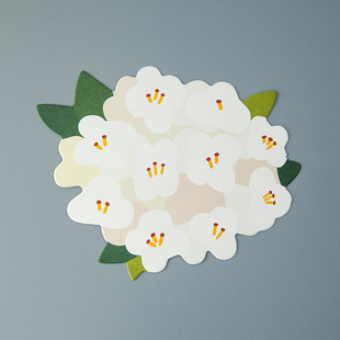 纸象公园严选韩国创意花朵形状插画设计祝福小贺卡留言卡感恩卡片