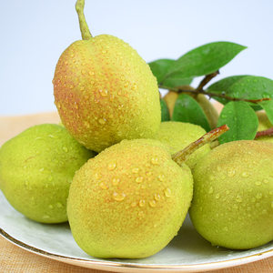 库尔勒香梨新疆特产当季新鲜梨子孕妇水果5斤装国产时令水果包邮