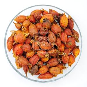 生栀子500克图片