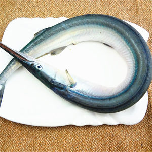 海之沃速冻 蓝骨头的鱼 海鱼 针亮鱼 针良鱼