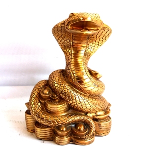 铜钱花纹的蛇图片