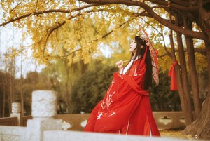 彼岸花刺绣大袖衫传统汉服外披风日常古装广袖