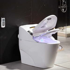 冲洗坐便器马桶一体图片